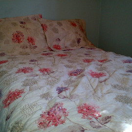 Reversible Bedding Set with Shams 