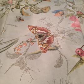 Butterfly Duvet and Shams